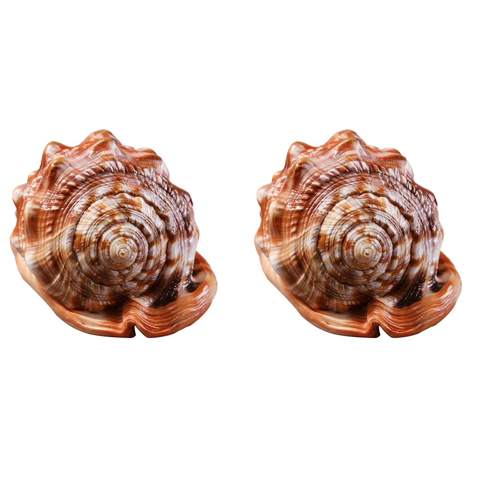 Vjsujehgy Natural Mouth Helmet Conch Shell Coral Sea Snail Fish Tank Adorn Ornament 2Pcs