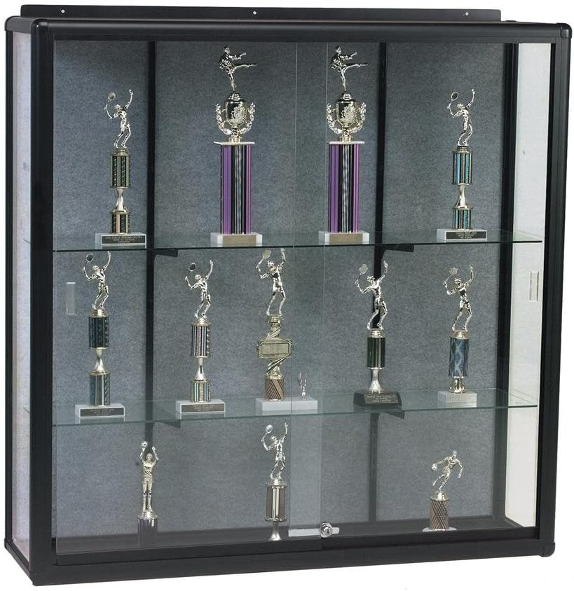 Series 90 Elite Wall Mount Display Case Finish: Black, Size: 48" H x 60" W