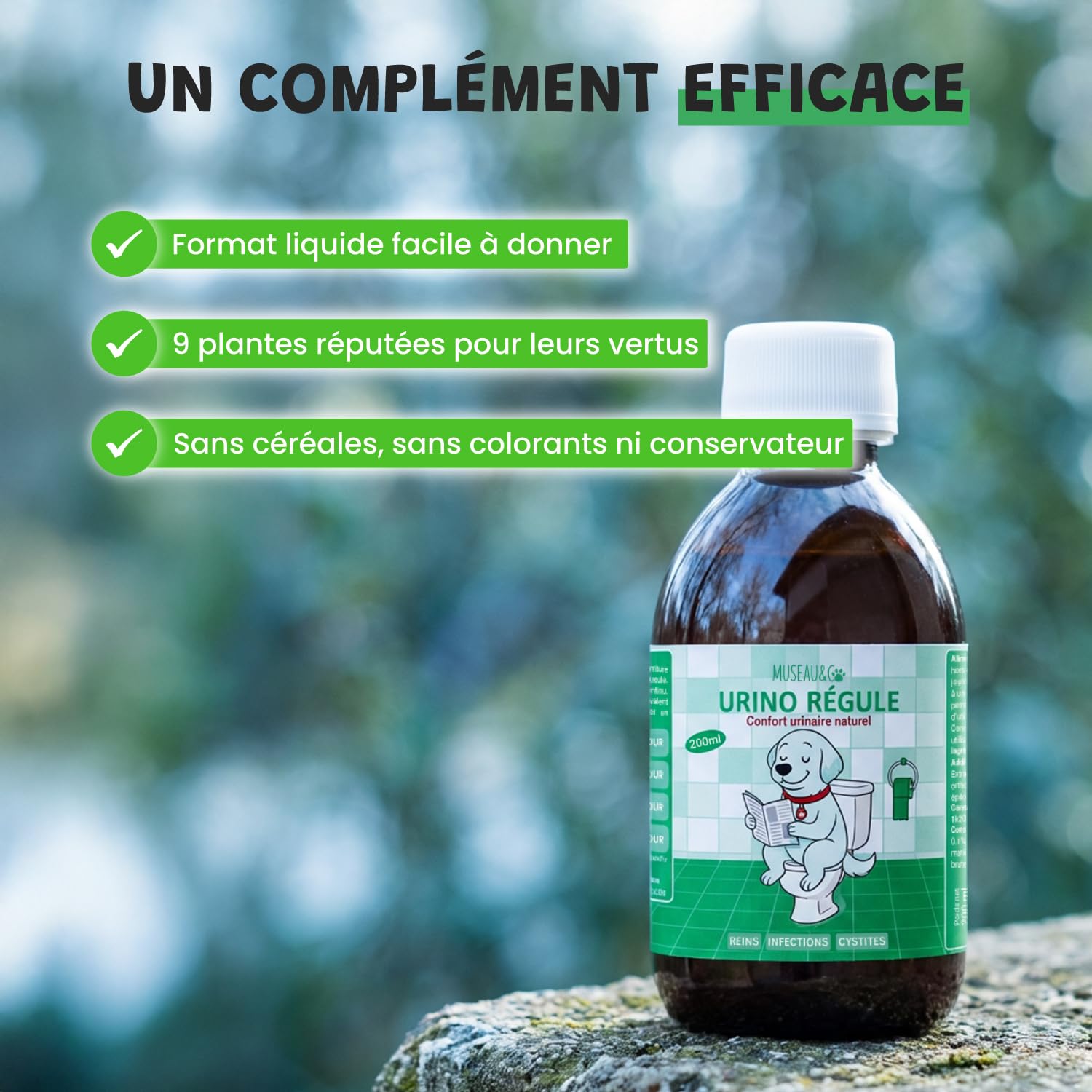 Museau & Co Urino Régule – Infection Urinaire Chien – 200ml – Cystite Chien & Chat, Anti-inflammatoire, Soutien Vessie & Reins, Confort Urinaire Fabriqué en France