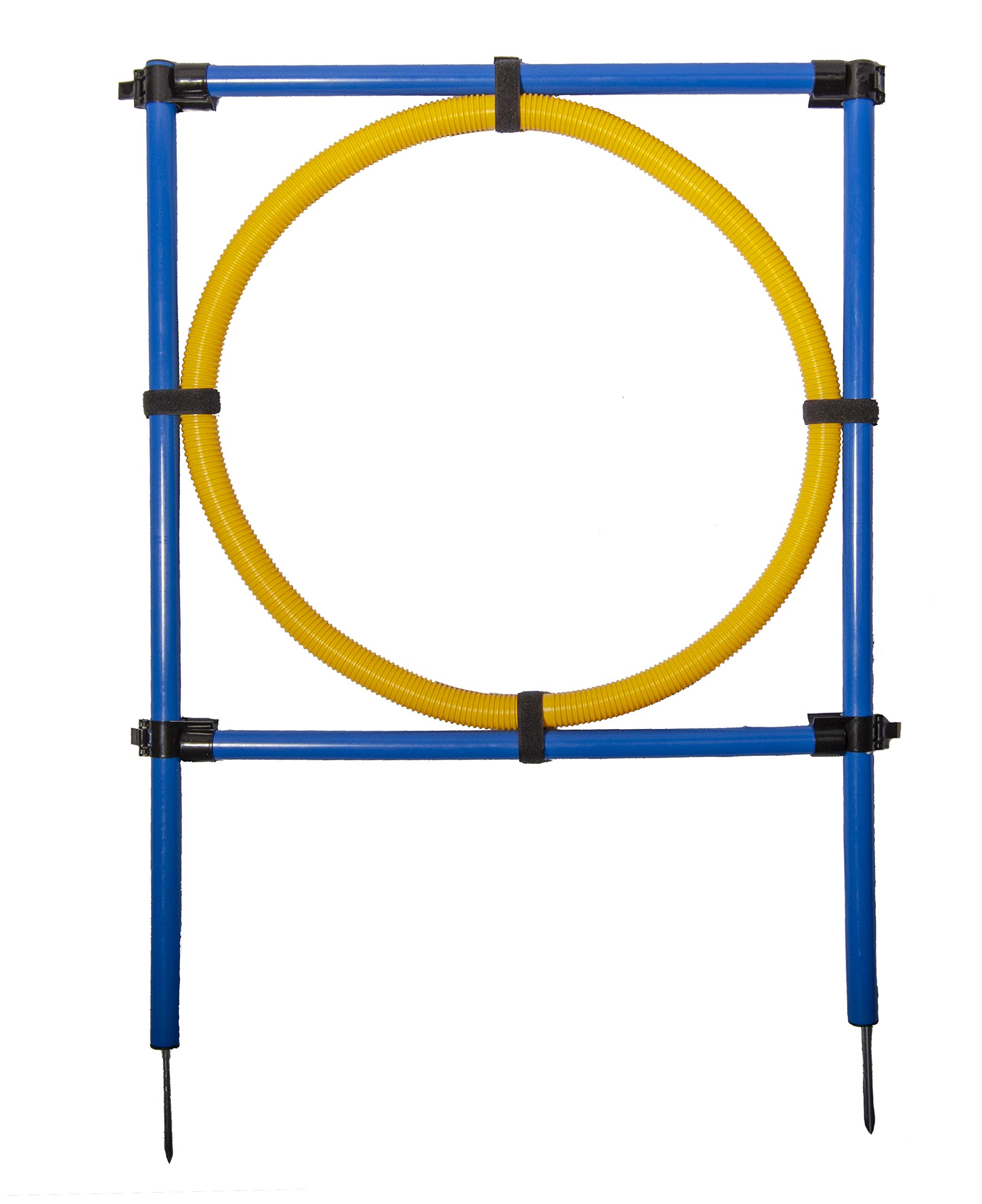 Agility Hoop Jump - Blue