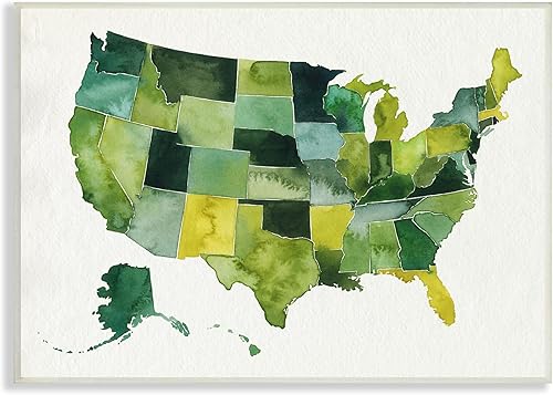 Miniatura 1 de Stupell Industries Placa de pared con mapa de acuarela verde de Estados Unidos, 18.0 x 13.2in