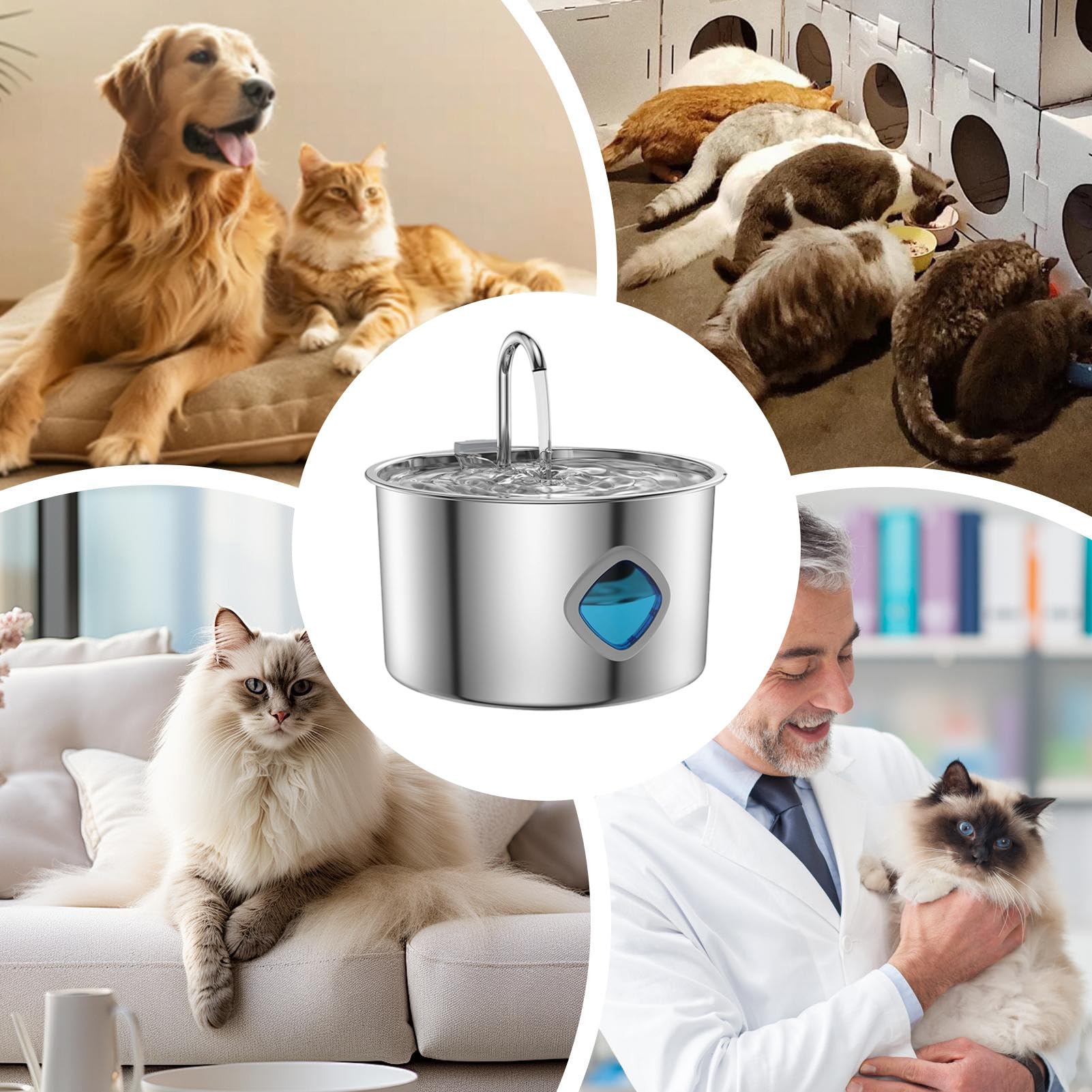 Fontana per gatti in acciaio , fontana automatica per animali domestici, per cani, gatti, cuccioli, robusta stazione per bere di razze piccole, medie e grandi, fontana igienica