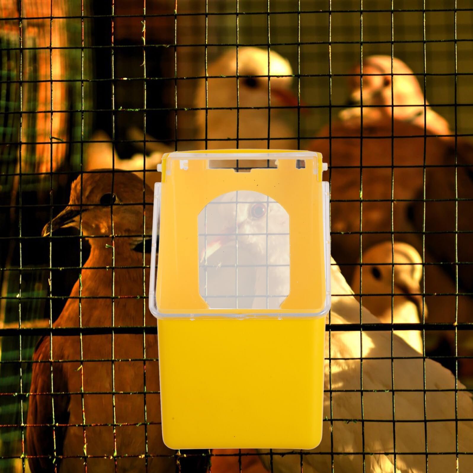 VANZACK 8 Piezas Comedero Colgante para Caja Alimentadora Multifuncional con Tapa Plástico Resistente Fácil de Colgar para Jaulas de Aves Domésticas Azul y