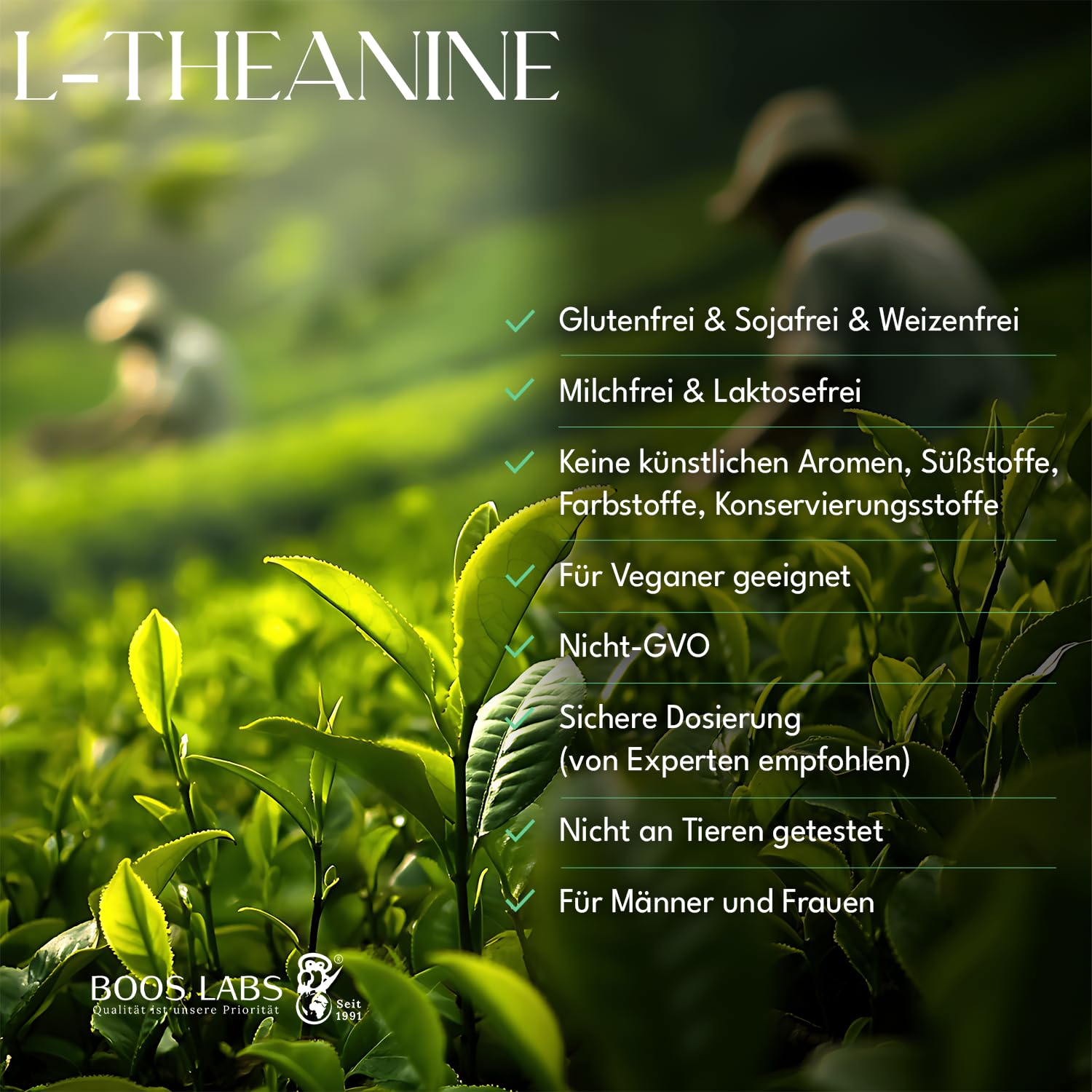 L Theanin Aminosäure 400mg, 150 vegane Kapseln, Hochdosiert, 3er-pack