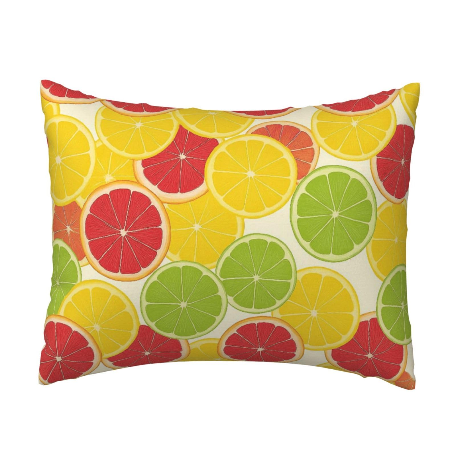 Juicy Lemon Orange Slice Pillowcase Soft Plush with Zipper Decorative Pillowcovers 16x20 in