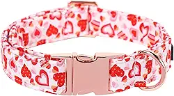 Maca Bates Coleira de Dia dos Namorados Confortável Coração Macio Coleira para Cachorro com Fivela de Metal Ajustável Coleira para Filhote de Dia dos Namorados para Cães Pequenos, Médios e Grandes