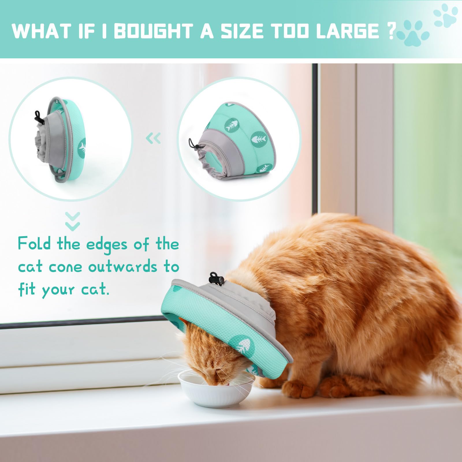 Collier élisabéthain Pour Chat/chien - Plastique Léger, Réglable, Pour Protection Post-opératoire
