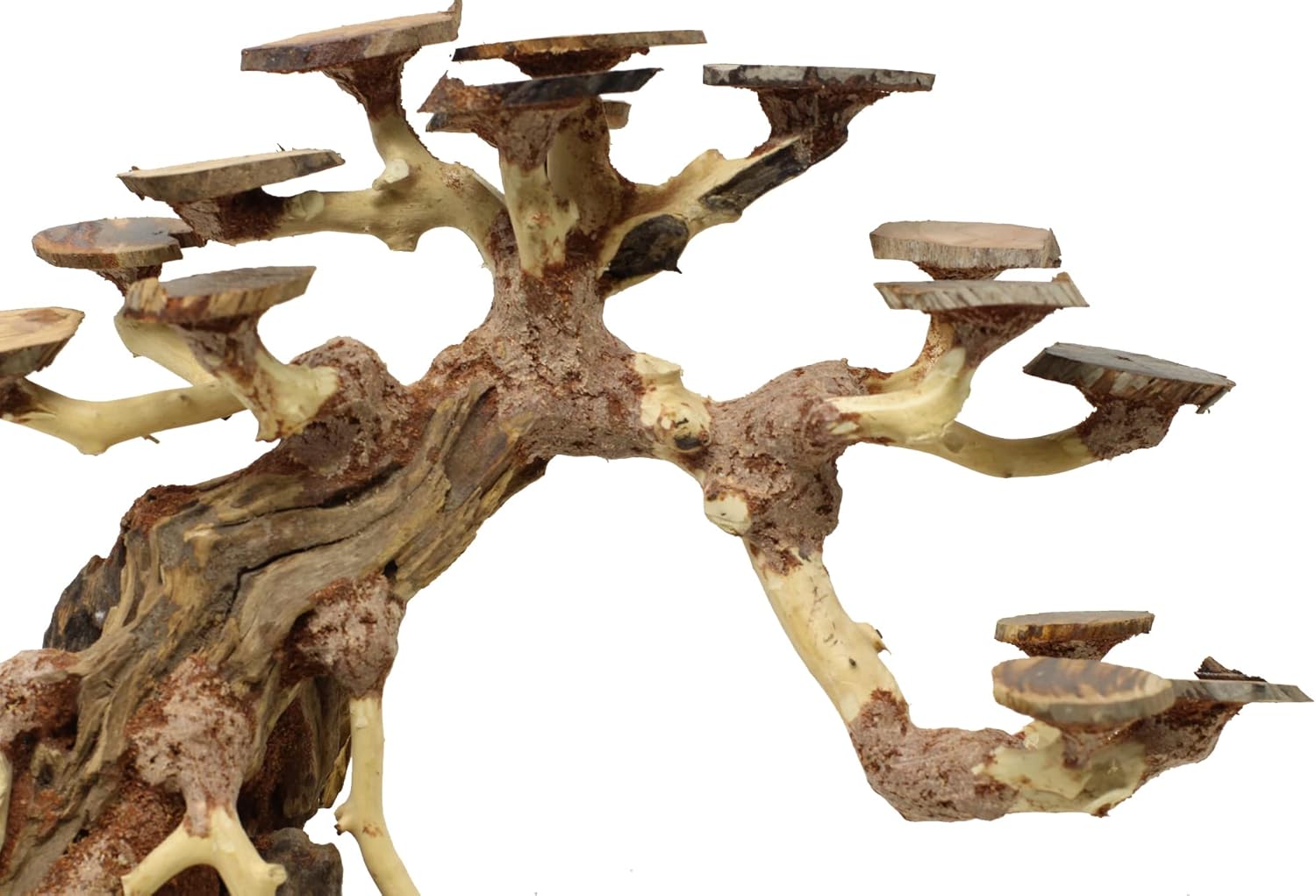 Bonsai Driftwood Aquarium Tree AWQ Random Pick (9in Height) Natural, Handcrafted Fish Tank Decoration | Easy to Install