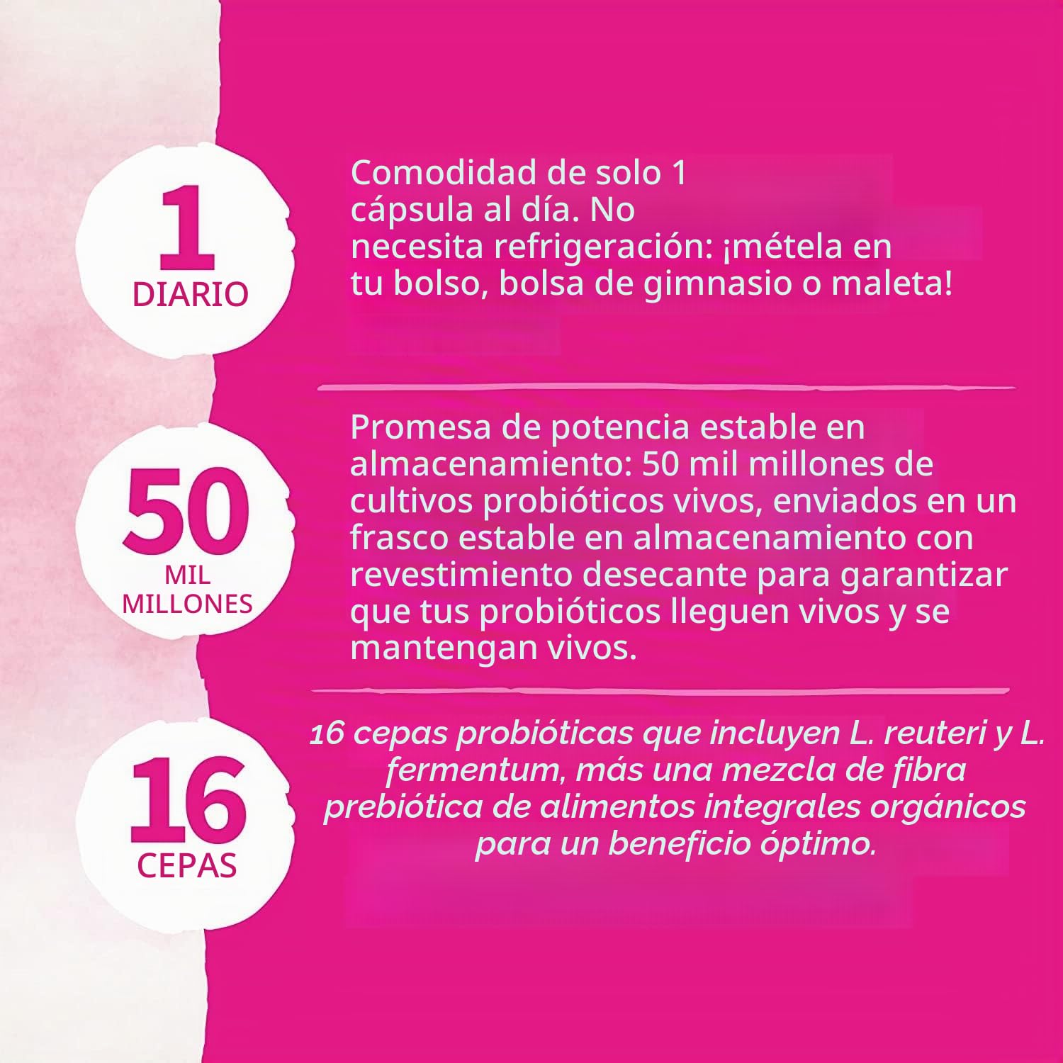 Garden of Life Dr. Formulated Probiotics Once Daily Women's 30 Capsules