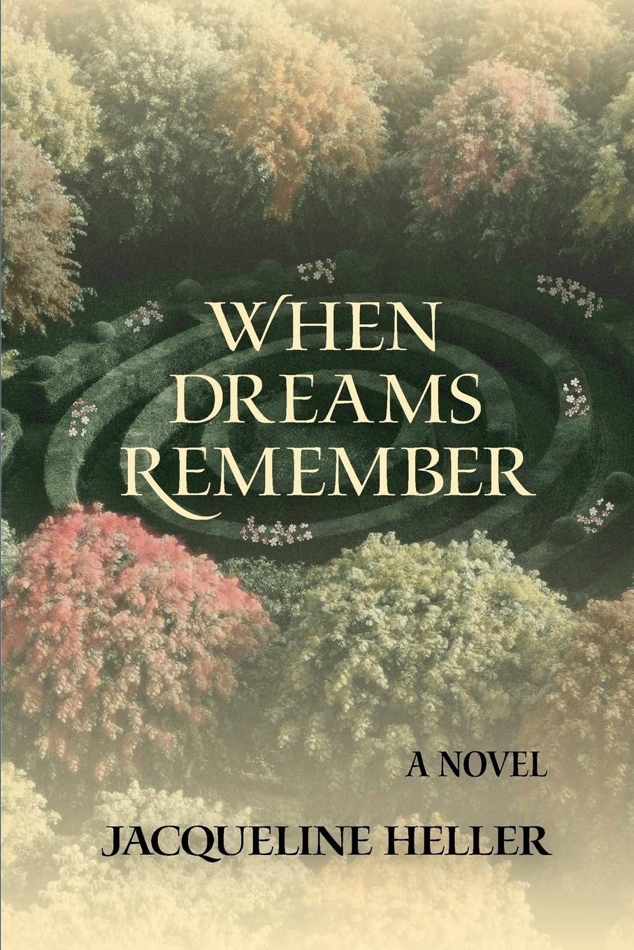 When Dreams Remember: A Novel: A Novel