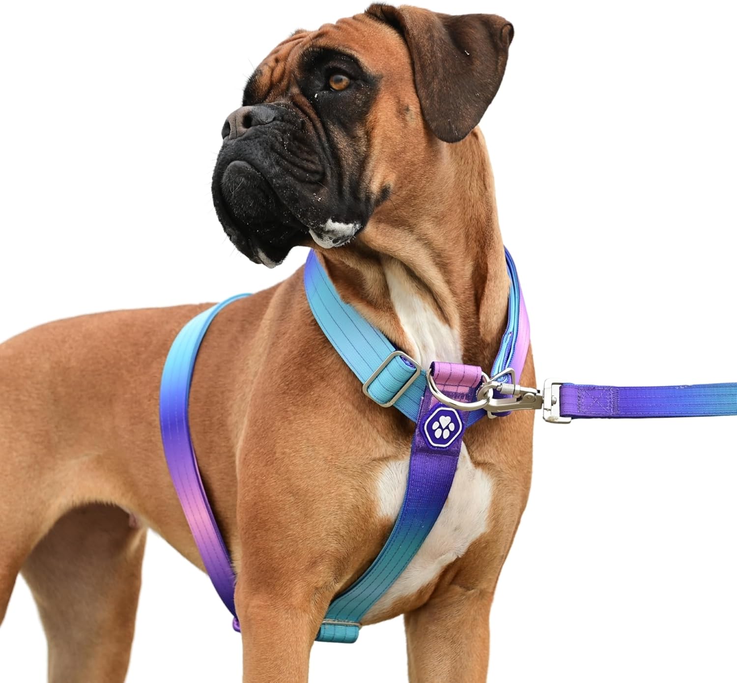 Spark Paws No Pull Dog Harness for Large Dogs, Heavy Duty Dog Harness for Big Strong Breeds, Adjustable, Y Shaped Padded Halter Design with Front Clip - 90s Retro  M