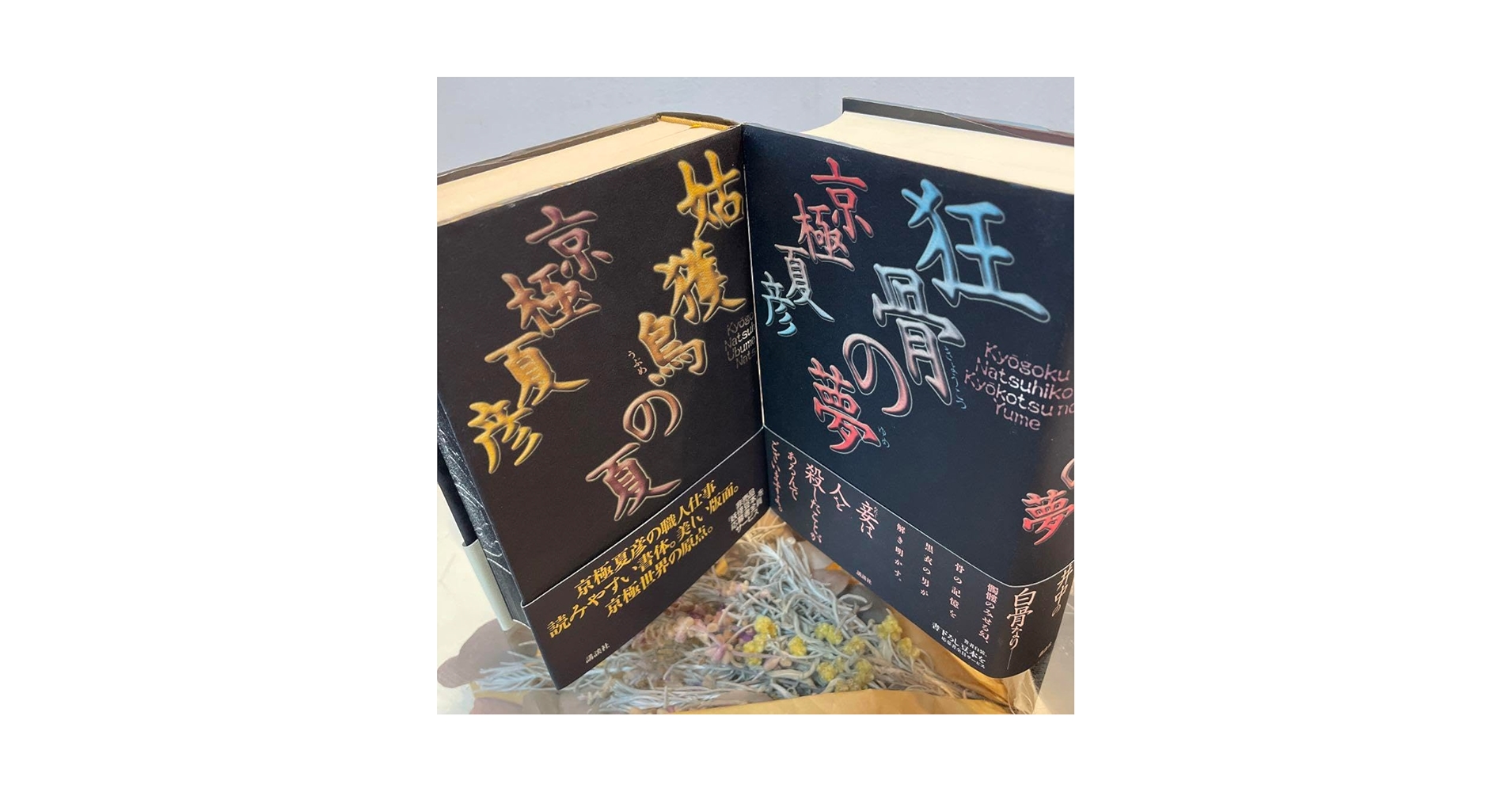 Amazon.co.jp: 京極夏彦 初版姑獲鳥の夏 狂骨の夢 愛蔵版 : おもちゃ