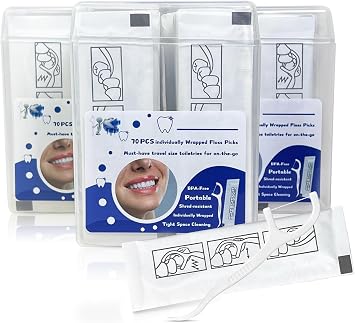 210 Count Individually Wrapped Floss Picks, Dental Floss Picks