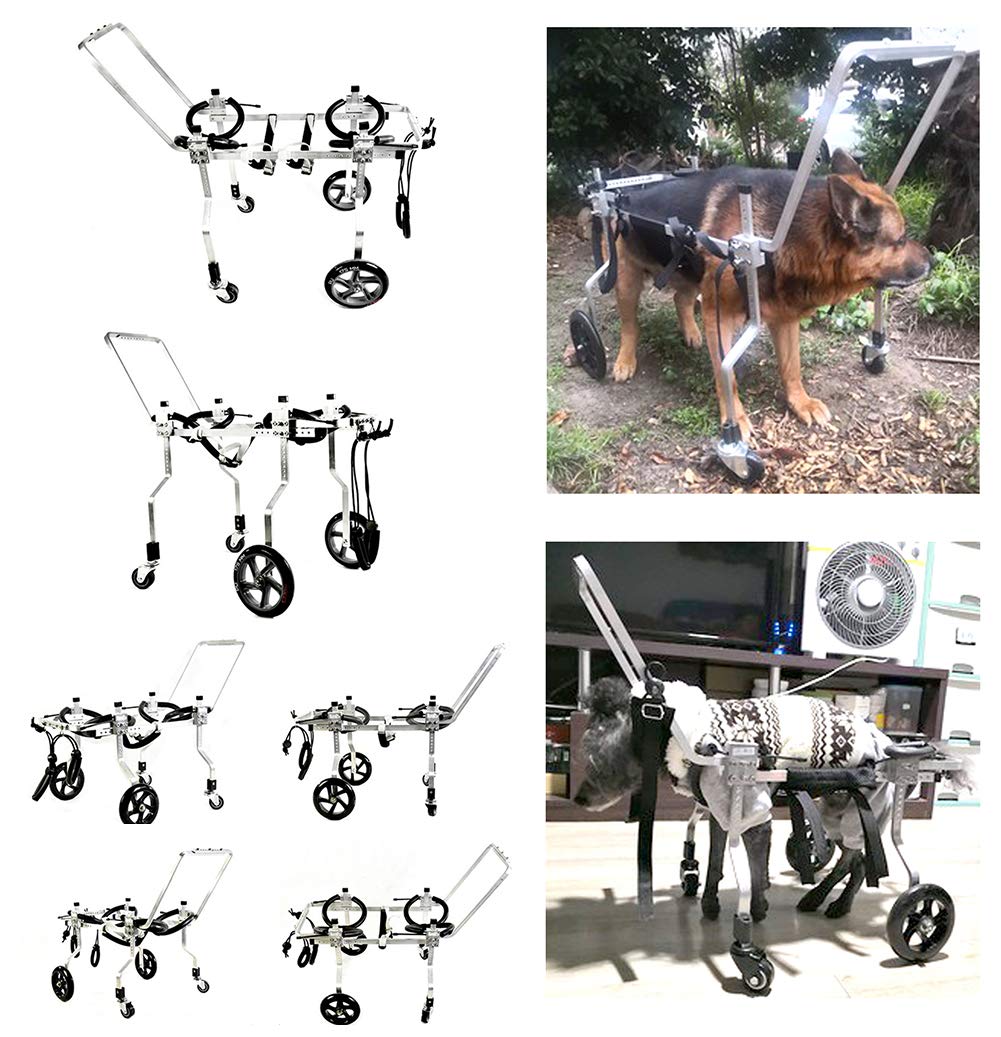Carrellino Regolabile Sedia a Rotelle per Cani Cane, Riabilitazione per Le Gambe Posteriori/Zampa Anteriore, Adatto Disabili Piedi Gambe/Zampe Posteriori Riabilitazione, 15-75 kg
