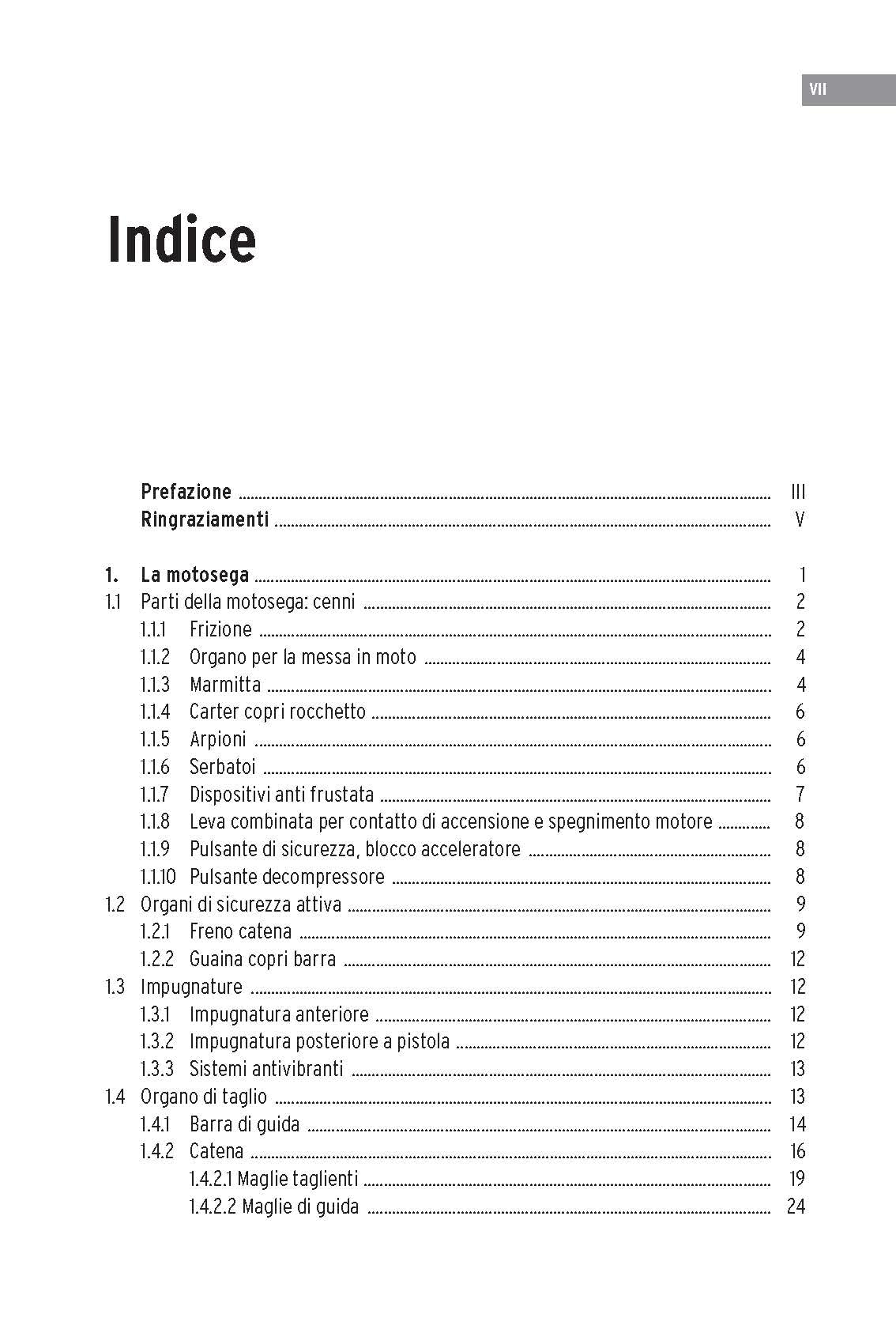 Uso in sicurezza della motosega nelle operazioni di abbattimento ed allestimento degli alberi. Ediz. illustrata