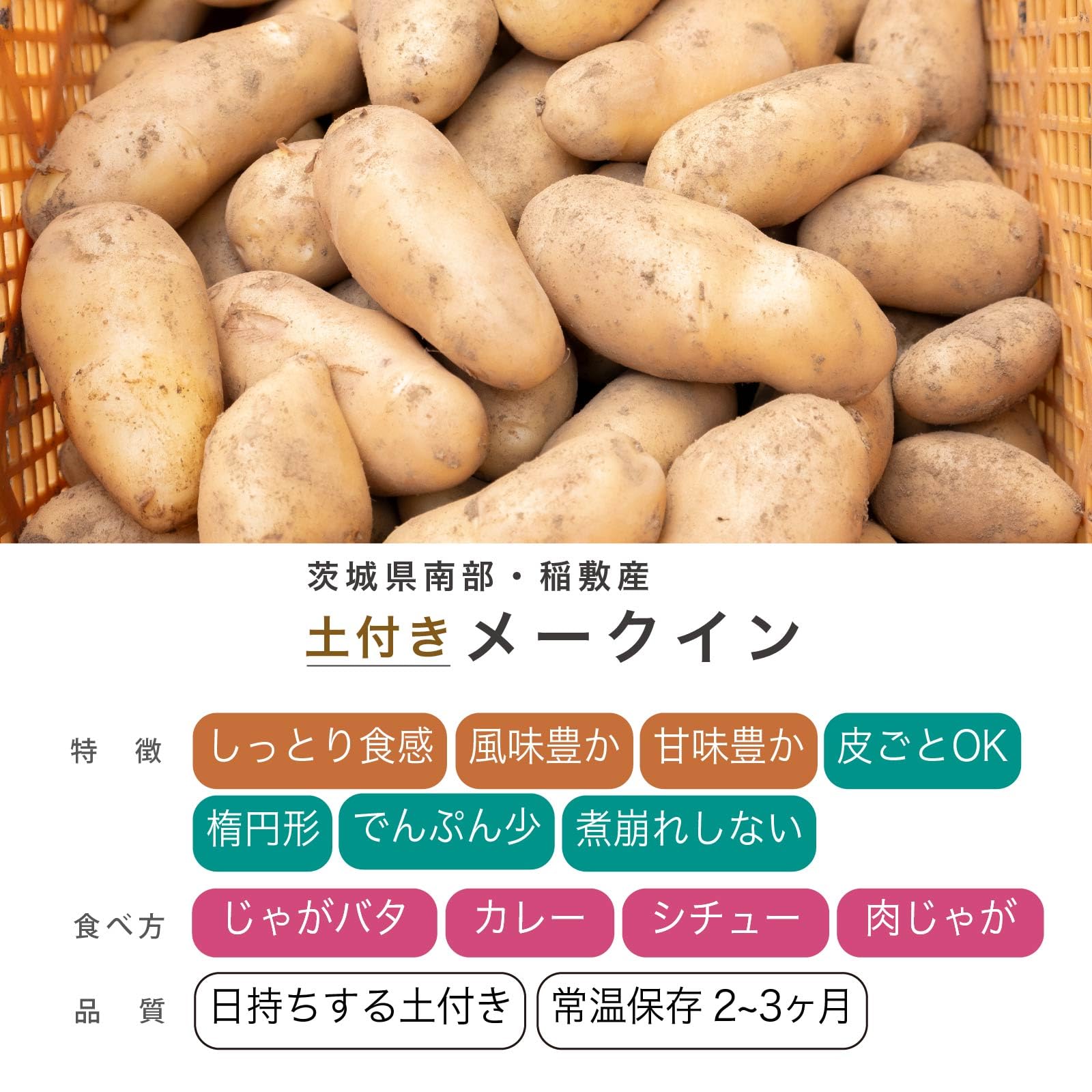 Amazon.co.jp: ジャガイモ メークイン訳あり品 25年新物 茨城県産 M