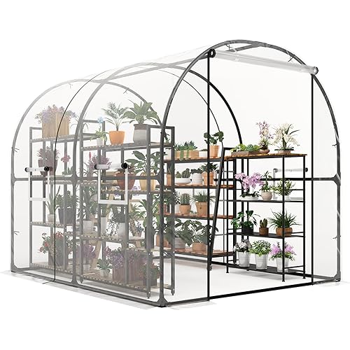 Greenhouse for Outdoor - Walk in Greenhouse with Ventilated Mesh Windows, Heavy Duty Metal Frame, Weatherproof Cover, Roll Up Door, Large Plant Garden Hot House for Plants, Seedlings - 8.2x6.6x6.6 ft