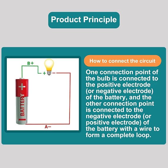 Gaweb Electrical Circuit Experiment Kit, Small Bulb Lights Up Kit Basic Physic Science Playset Educational STEM Kit A OneSize