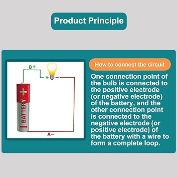 Gaweb Electrical Circuit Experiment Kit, Small Bulb Lights Up Kit Basic Physic Science Playset Educational STEM Kit A OneSize