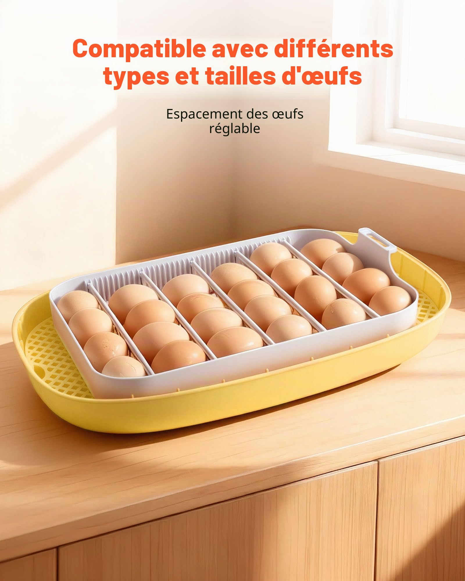 VEVOR Couveuse Œuf Automatique 24 Œufs de Poule Incubateur Œuf pour Éclosion Œufs de Volaille Poussins Canetons Oies Cailles, avec Mire LED Affichage Température et Humidité Fenêtre Transparente 360°