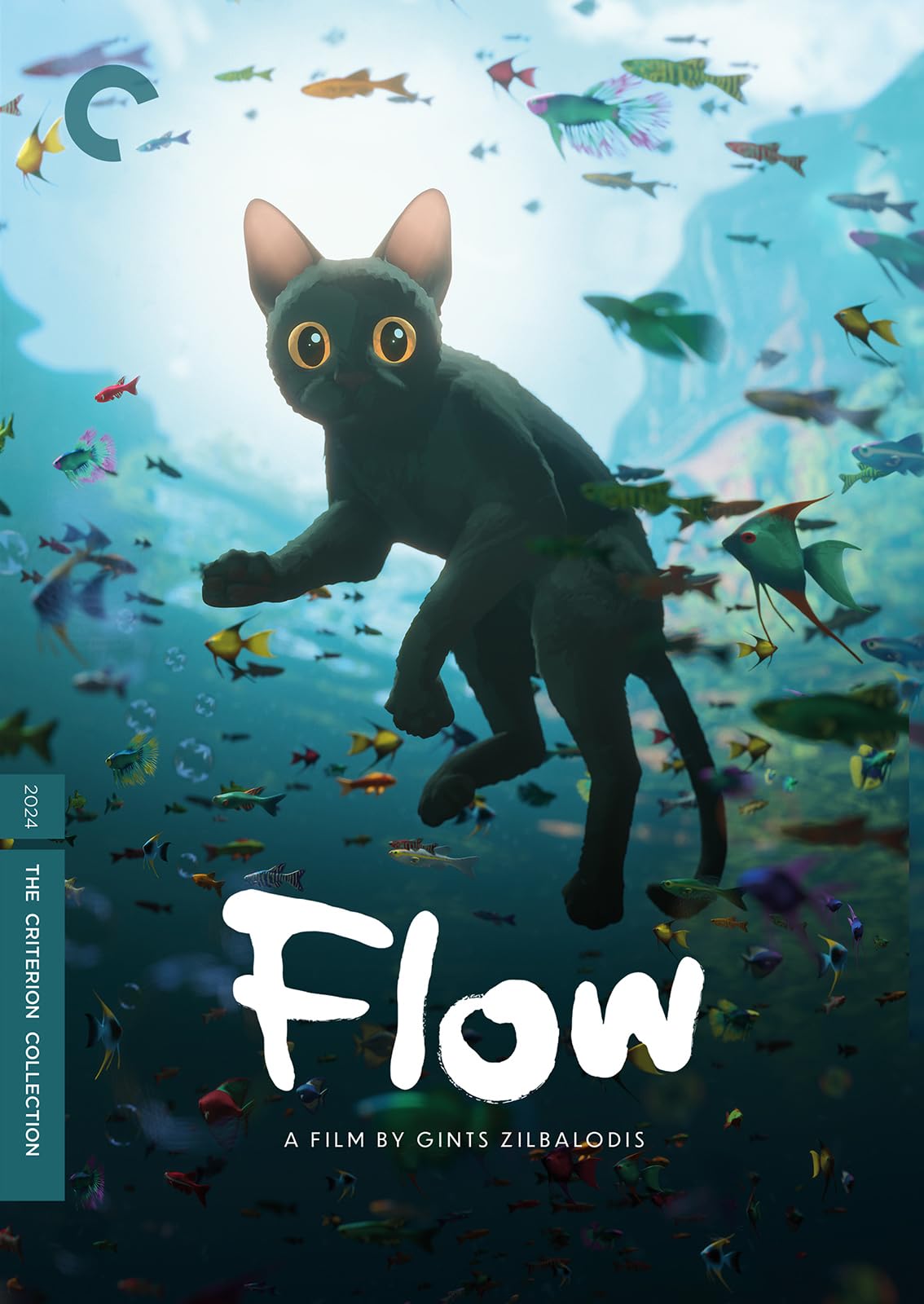 DVD 会報 FLOW  26ers movie 2017-2021セット 71pPrarp0sL.jpg
