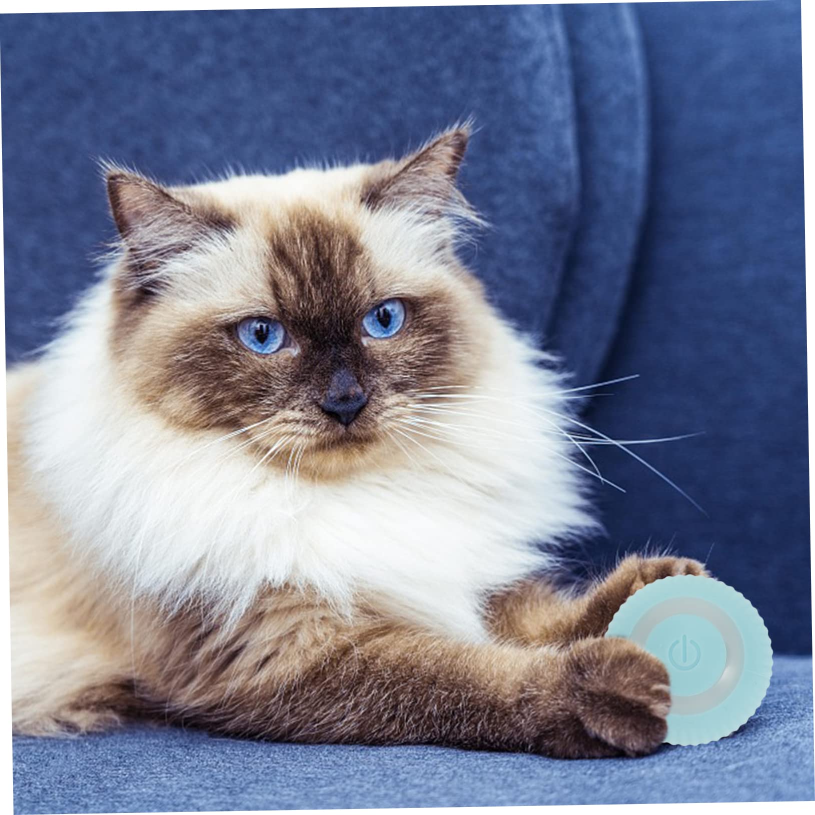 SUPVOX 3 Piezas Gatito Gravedad Sabiduría Gatito Gravedad Inteligente Bola Rodante Juguetes Bolas De Gato Juguetes para Mascotas Juguete Gato Suministro Portátil Juguete