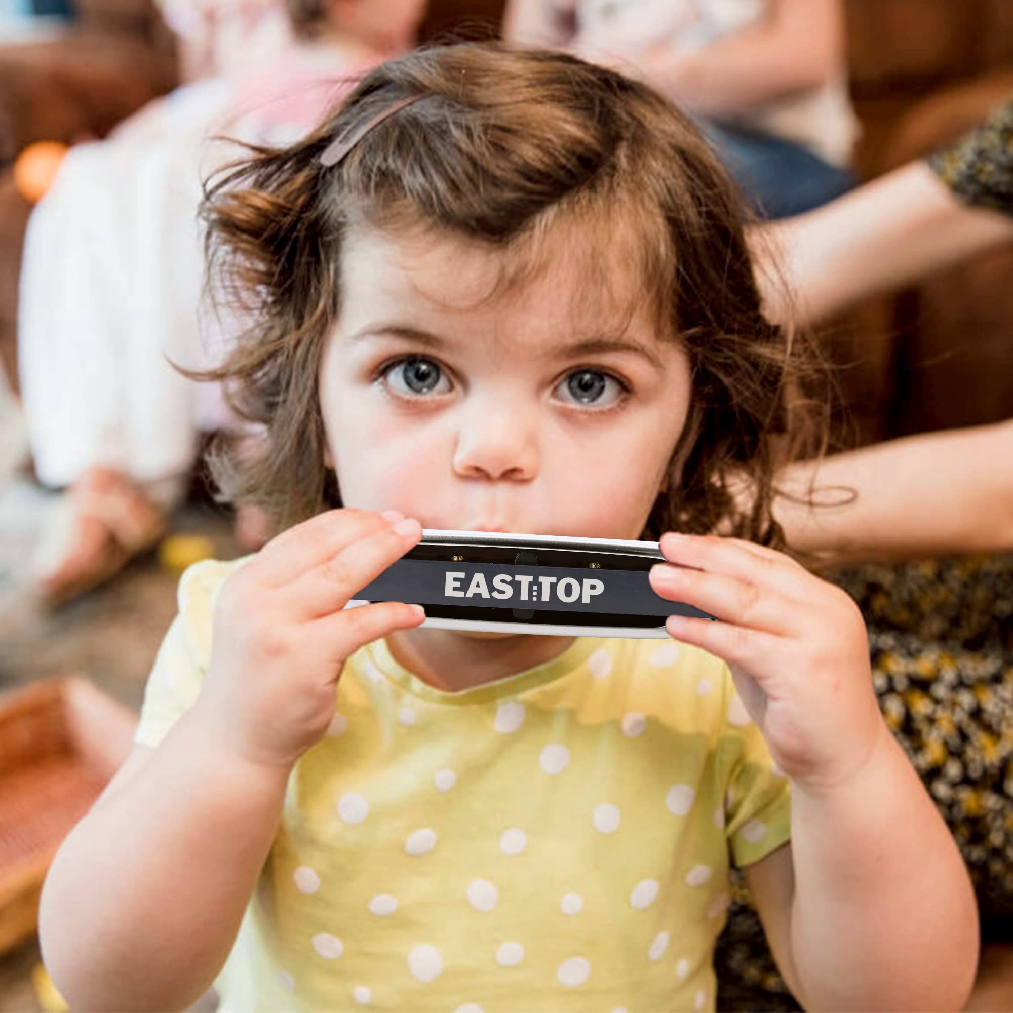 East Top Harmonica blues, 10 Holes Instrument de musique professionnel blues harmonica Diatonique C (T009-1)