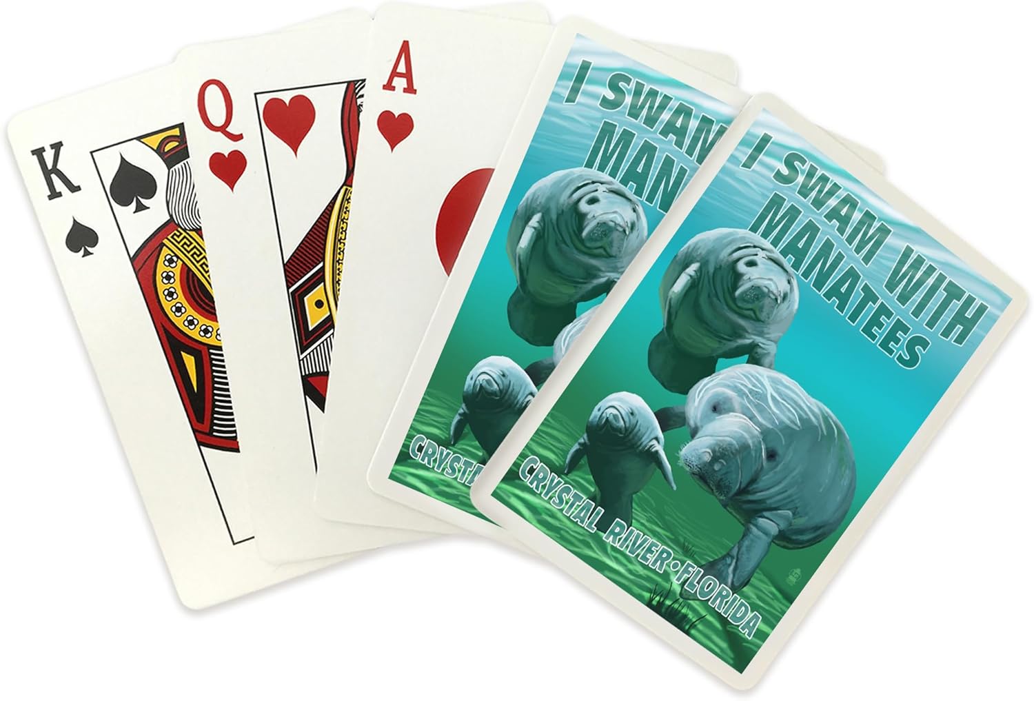 Lantern Press Crystal River, Florida, I Swam with Manatees, 52 Playing Cards for Adults, Poker Size Card Deck