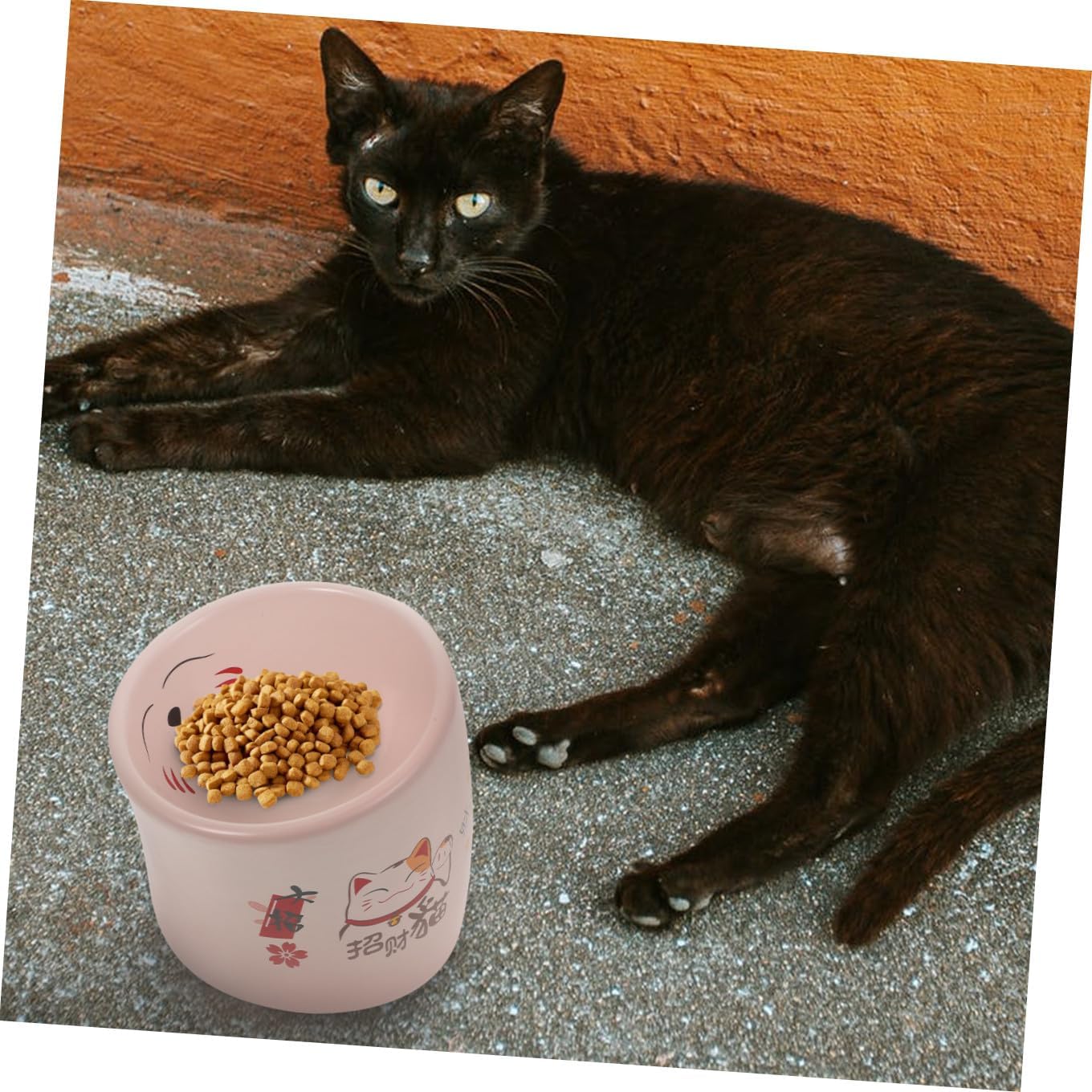 Elevated Ceramic Cat Bowl Anti-Spill Pink with Safety Neck Protector Kitten Feeding Dish for Indoor Pet Cats