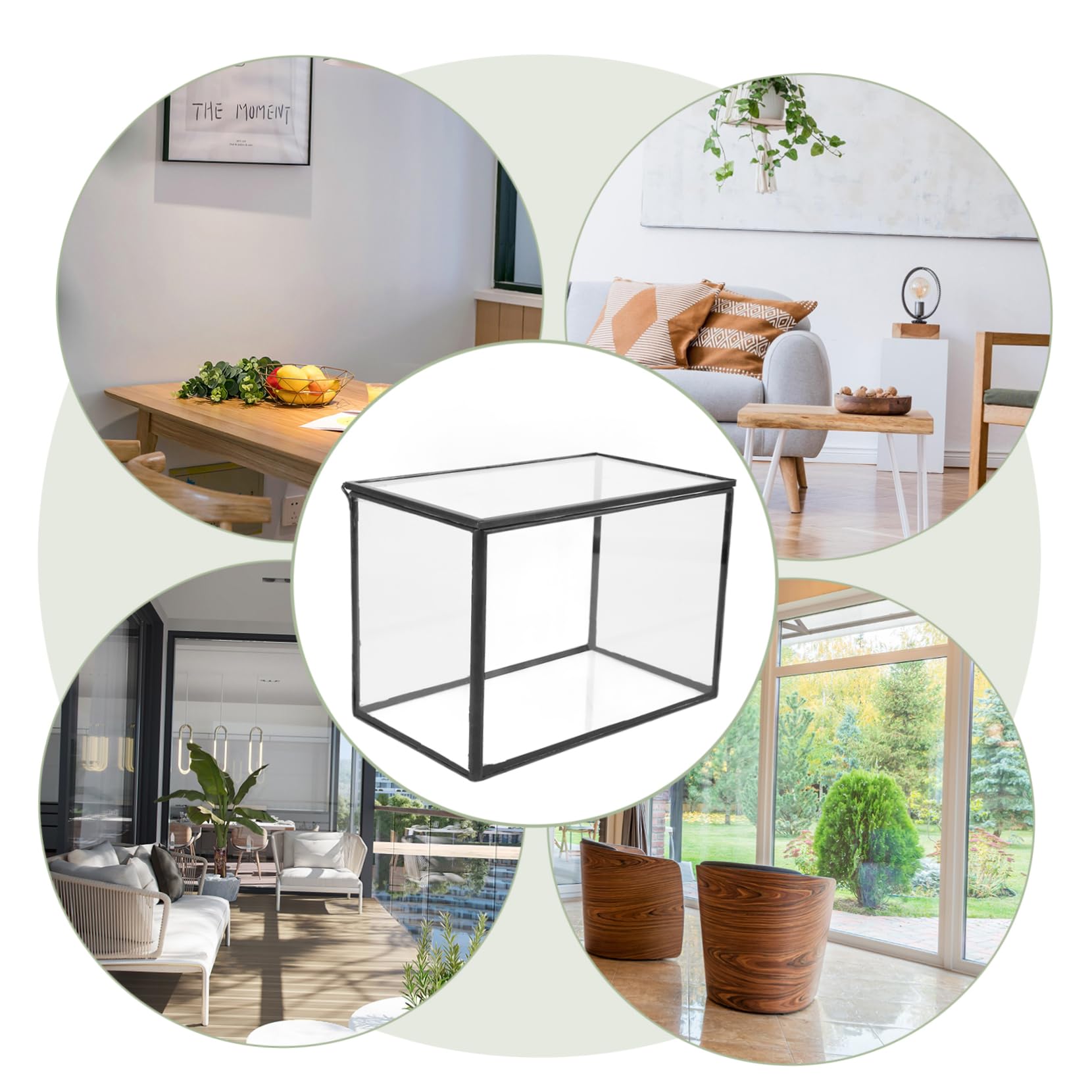 BESPORTBLE Terrario de Vidrio Contenedor Transparente para Plantas Suculentas, Maceta Resistente y Decorativa Adecuado para Decorar Habitaciones y Regalar