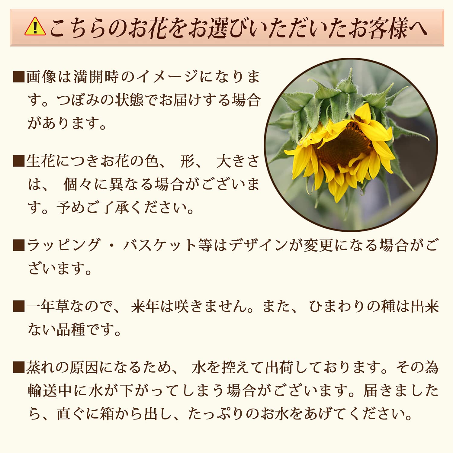 Amazon.co.jp: 花のギフト社 父の日 花 ひまわり 鉢植え プレゼント 父