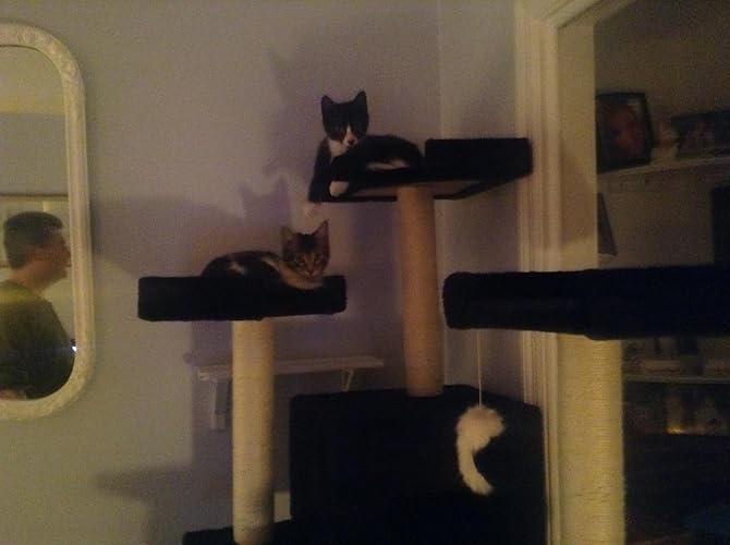 Review Image by Amazon Customer