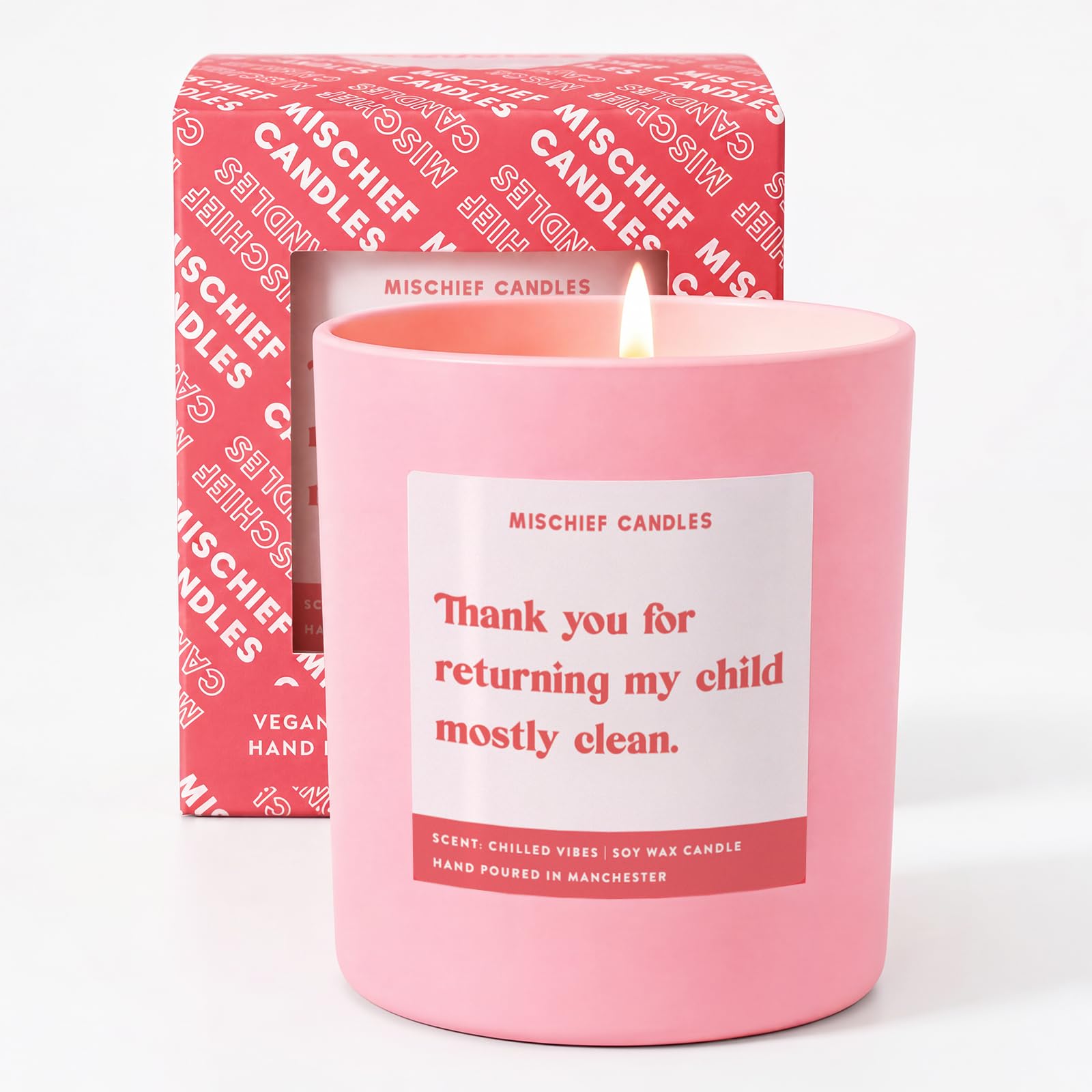 Teacher Gift, Funny Teacher Candle, Soy Scented, Vegan, 50hr Burn Time