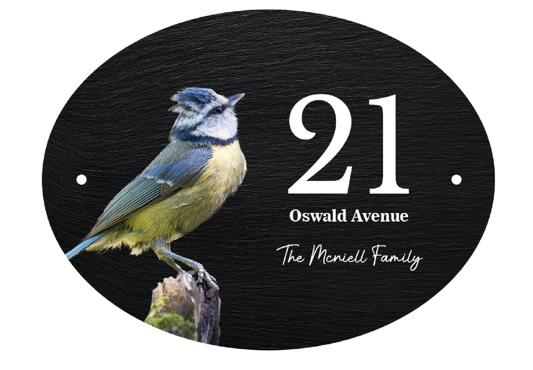 Personalised Oval Slate House Sign Door/Name Plate Robin Kingfisher Owl Blue Bird Squirrel (UV PRINTED) (Blue Bird)