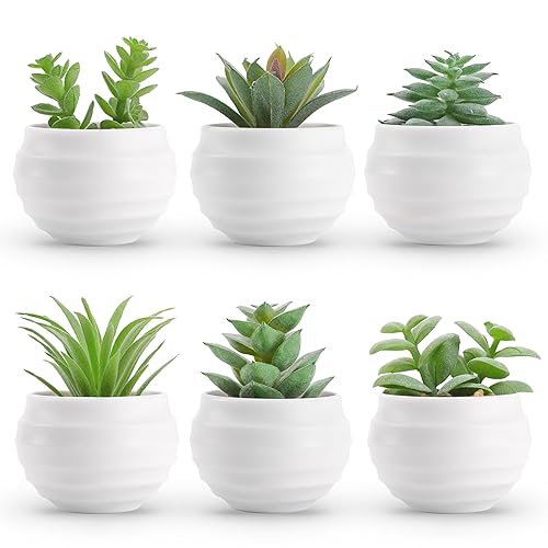 Der Rose Set of 6 Succulents Plants Artificial in Pots Small Fake Plants for Bedroom Aesthetic Living Room Shelf Bathroom Decor Office Desk Accessories - Green