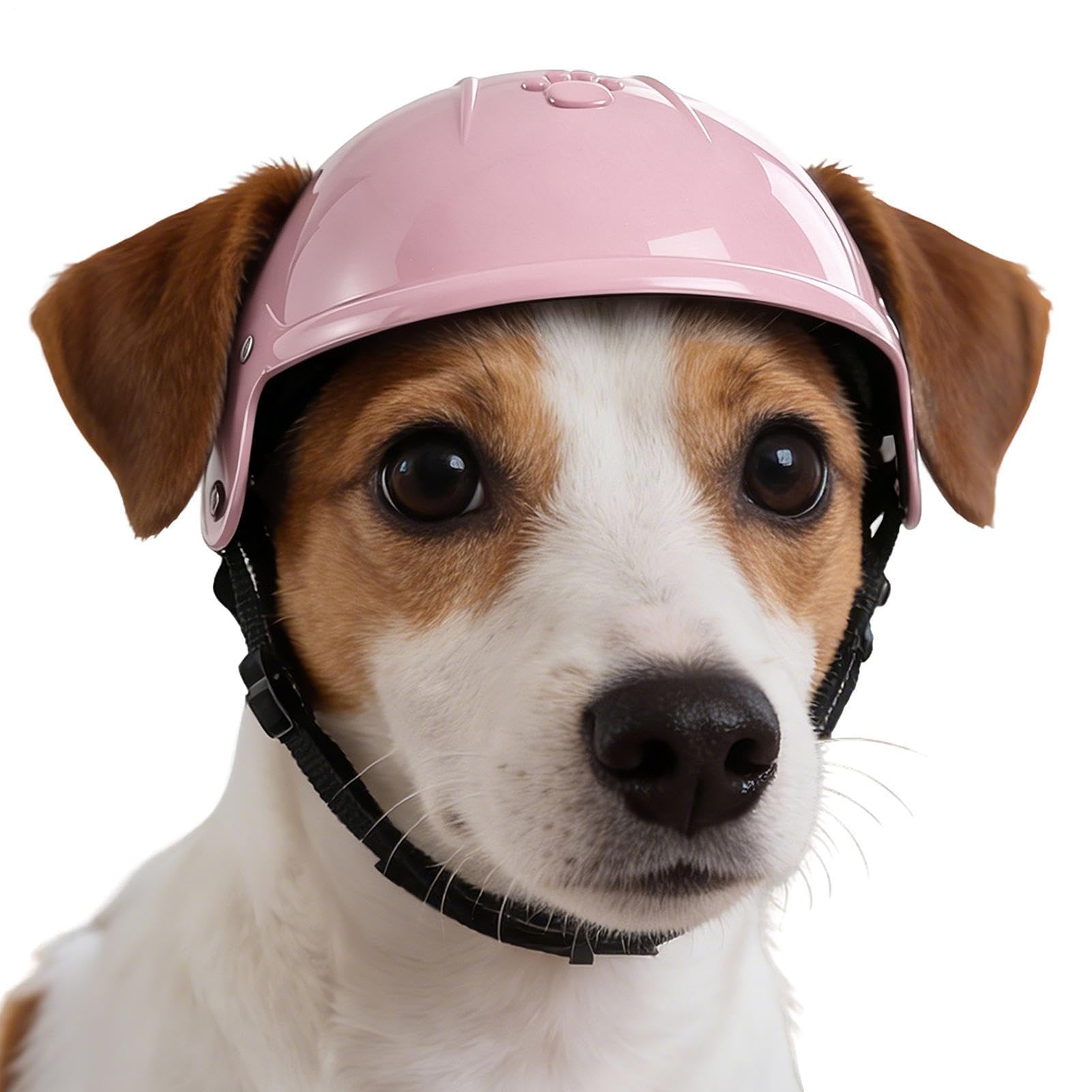 Casco Per Gatto E Cane Con Cinghias Regolabile | Copricapo Protettivo Antiscivolo Leggero Per Animali | Sicurezza Per Moto Bicicletta Campeggio Viaggi Esterni