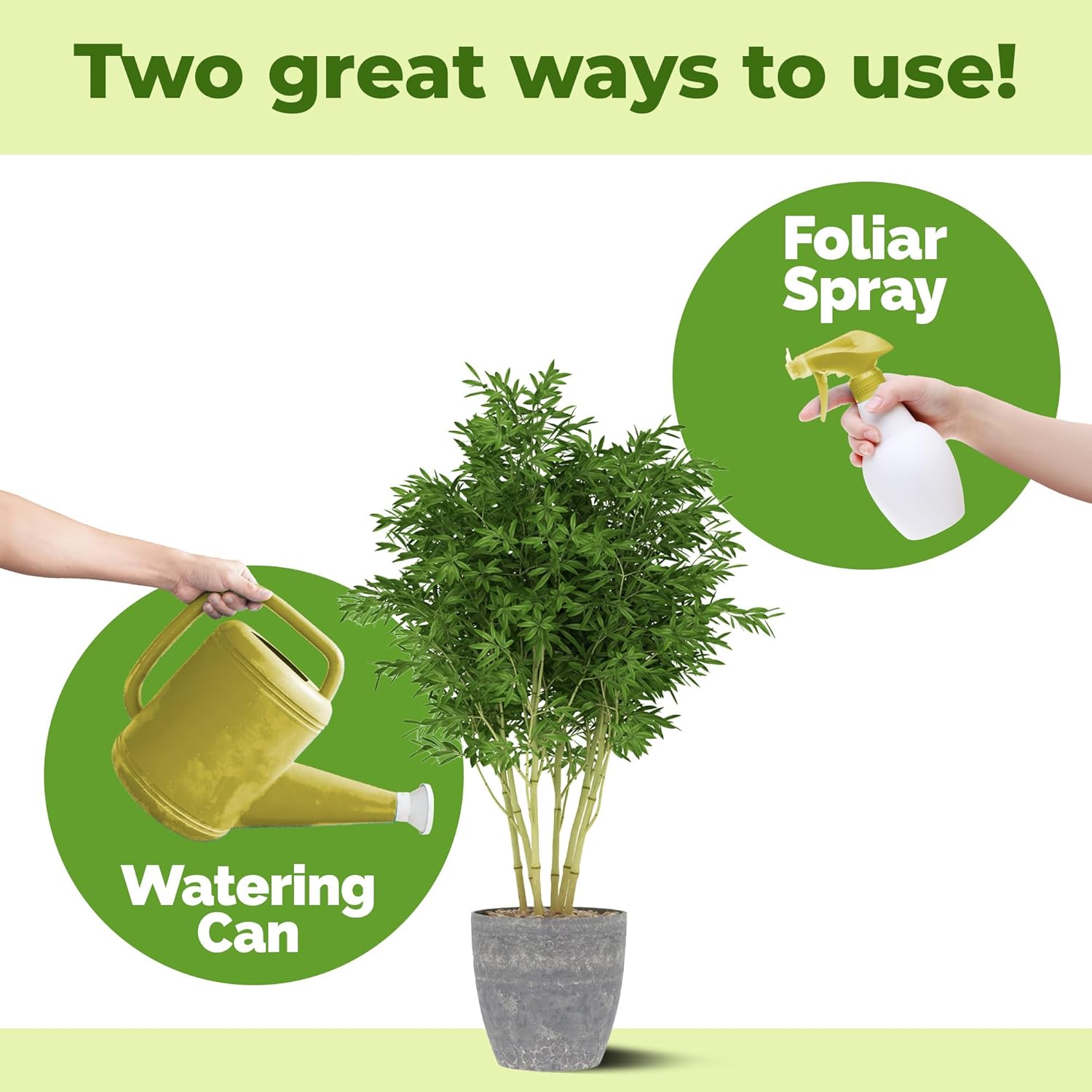 Bamboo Plant Food – Liquid Plant Food for New Shoot Growth, Rich Green Leaves & Strong Root Development, 32 oz