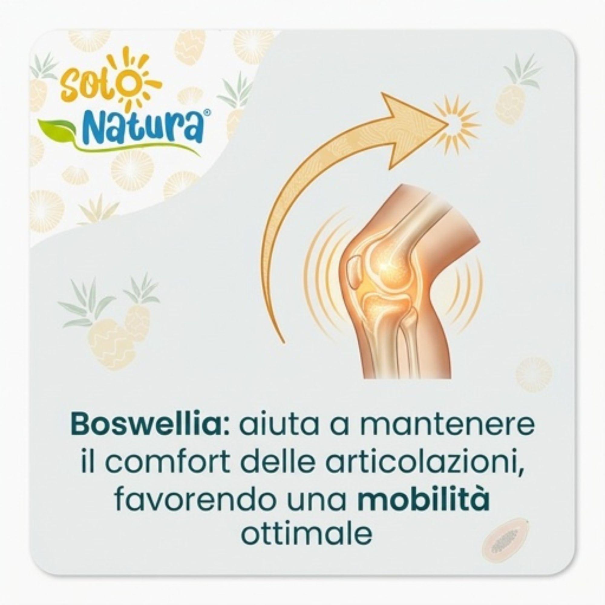 Solo Natura AFLOGIS – Integratore di Boswellia Serrata e Bromelina da Ananas. Supporto per Articolazioni e Funzionalità del Microcircolo, 60 Compresse da 500 mg