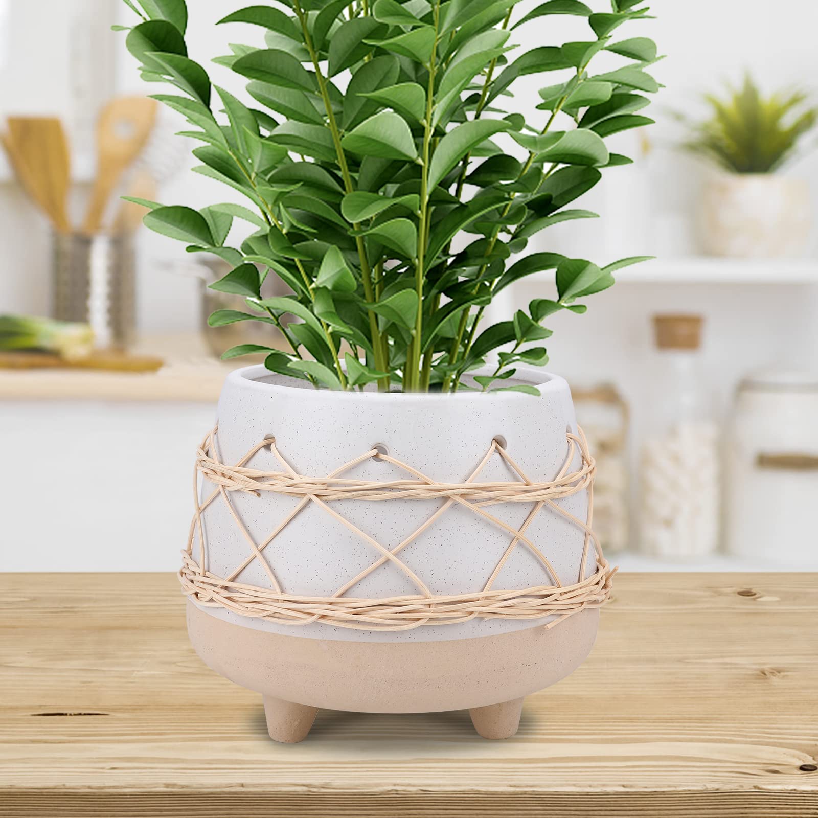 Macetas de jardín para interiores y exteriores (menos hilo)