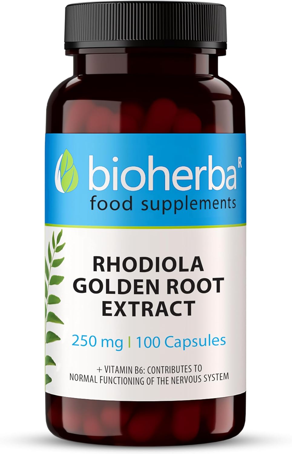 BIOHERBA Rhodiola + Vitamin B6 – 100 Capsules | Nordic Plant & Essential Vitamin for Daily Wellness