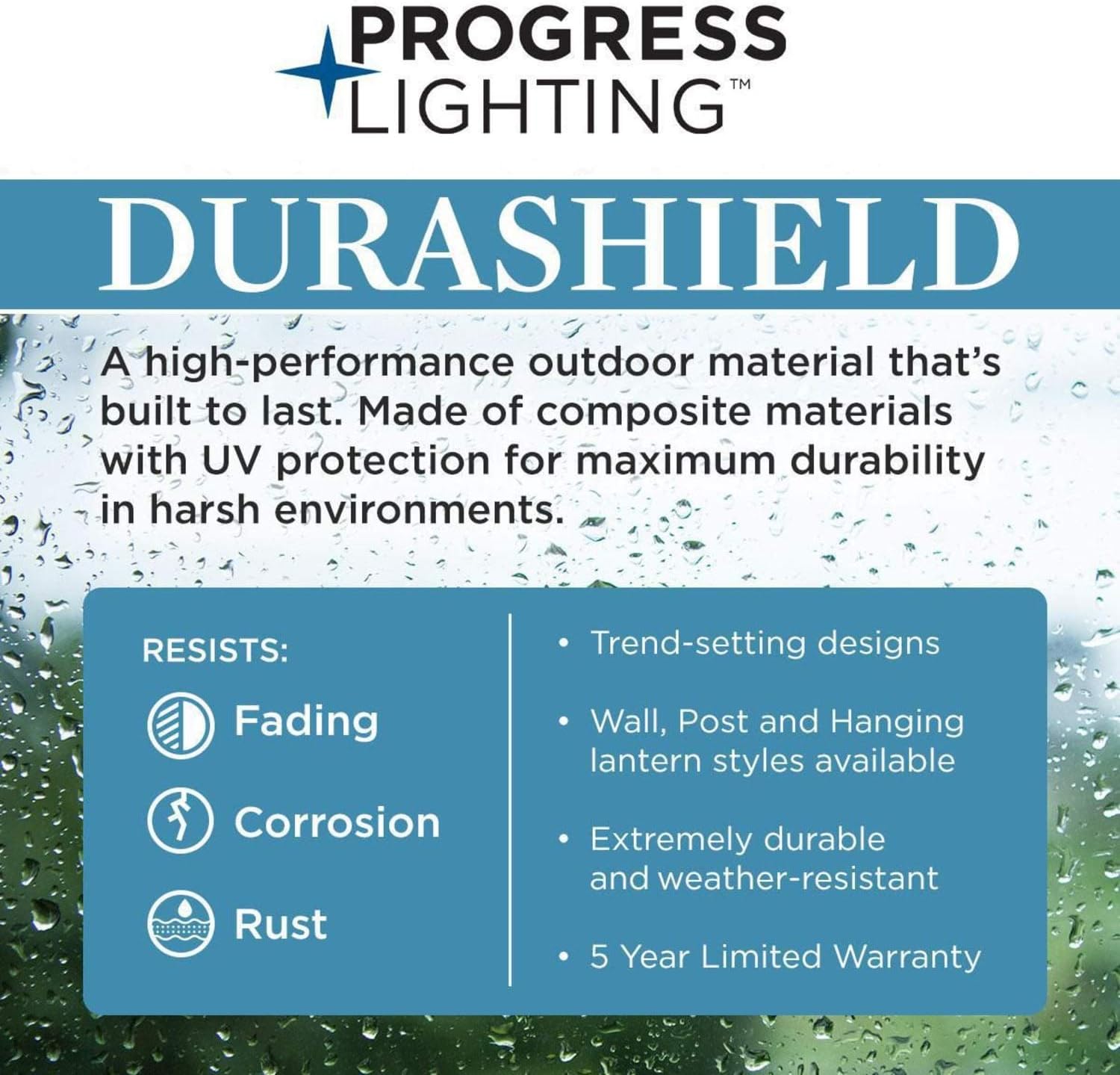 Progress Lighting Port Royal Collection 1-Light Clear Glass Farmhouse Outdoor Hanging Lantern Light Textured Black