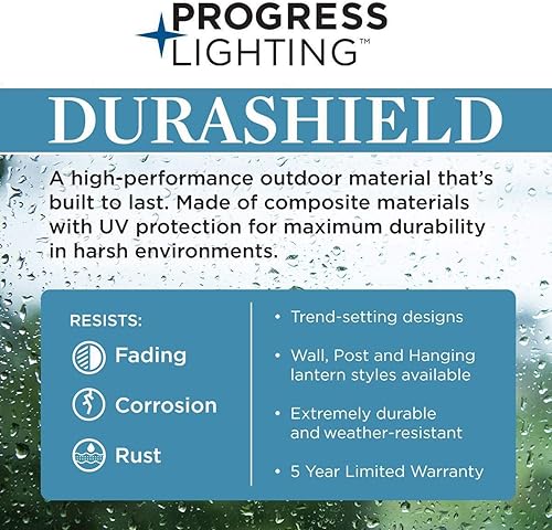 Miniatura 12 de Progress Lighting Marquette Collection - Farol de cristal transparente para exteriores, con textura de luz, color negro