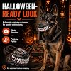 Bozal de Monstruo Perro Infernal, Máscara de Mascota Aterradora de Látex Natural con Dientes Afilados, Correa Ajustable para Cosplay de Halloween Hombre Lobo Bestia para Fiesta de Perros Truco o Trato Accesorio de Foto, Sin Sangre: M 3