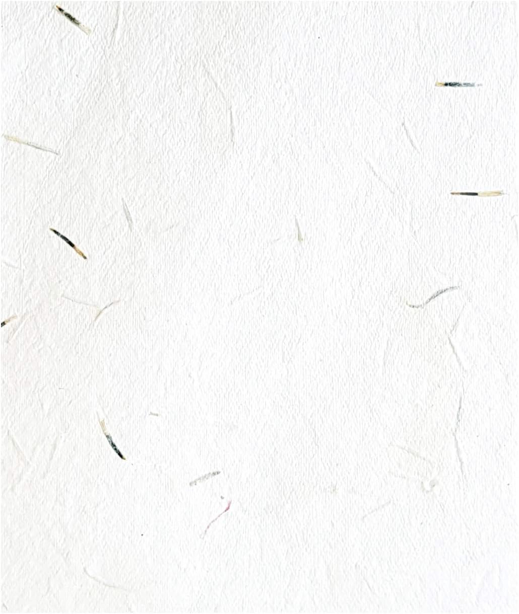 Devraaj Eco Friendly White Plantable Marigold Paper Seed Paper 5x7 inch Size Set of (50)