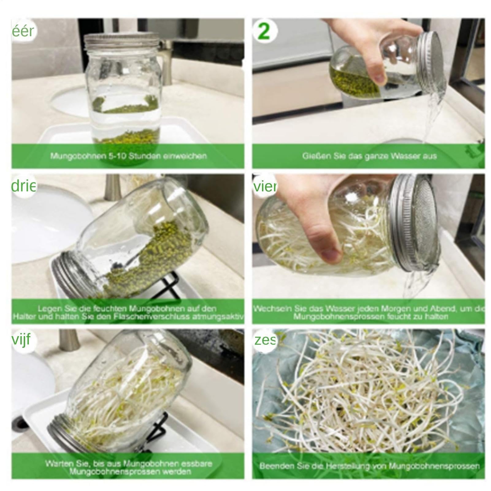 Frasco Germinador Con Ancha con Rejilla de Acero Inoxidable con Opaca y | Kit Germinador de Brotes Para Hogar Cocina Sala De Estar Balcón Legumbres Frutos Secos Granos Brócoli