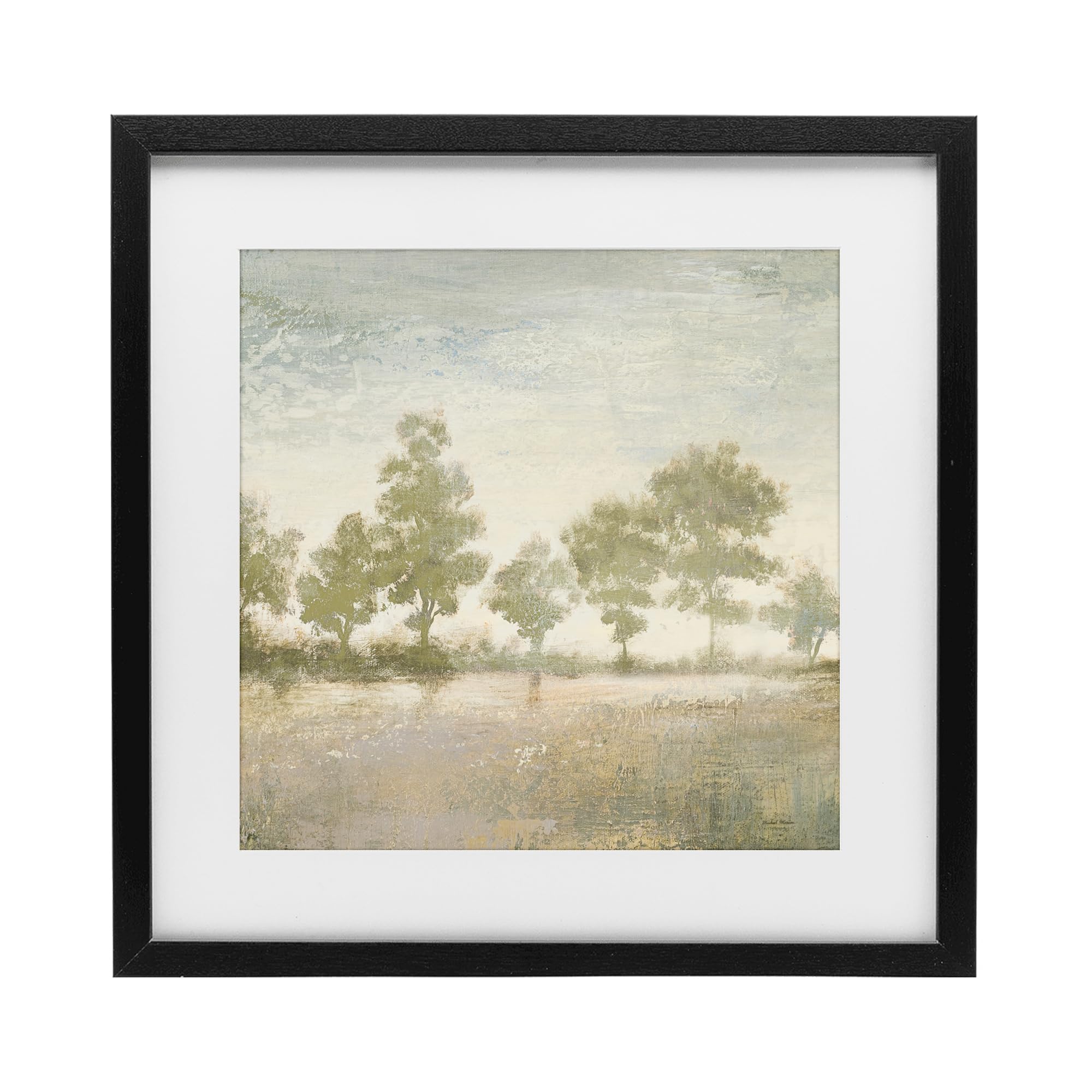 'Forest Light Landscape'| Framed Print Under Glass