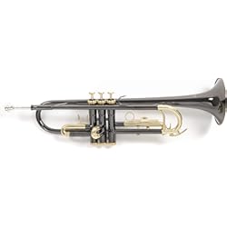 Trompeta Para Porra Roy Benson Trompeta Sib TR-101K (diámetro ML, válvulas de acero inoxidable, tudel de latón dorado, diseño elegante, en estuche rectangular ligero, con función de mochila), Antracita