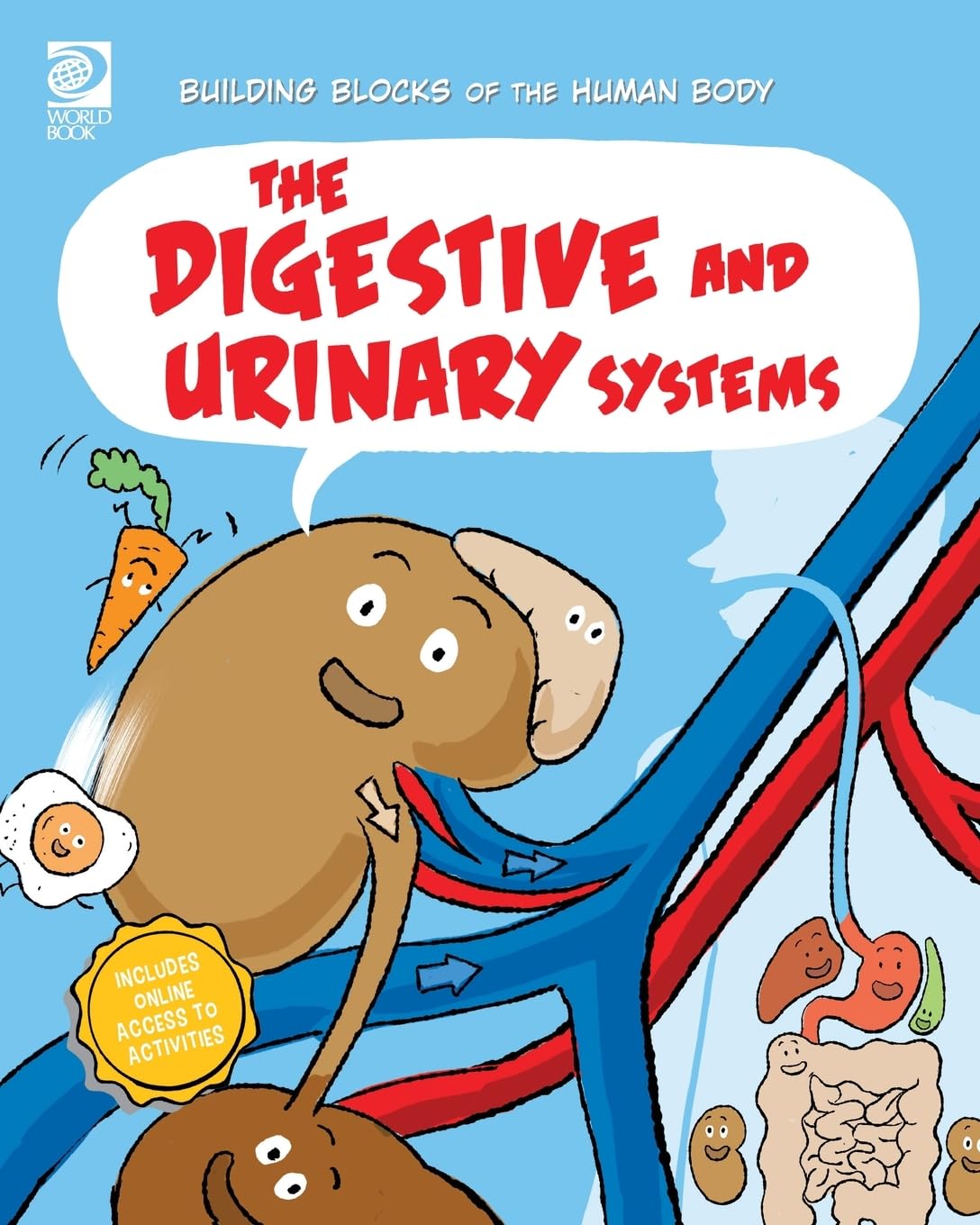 The Digestive and Urinary Systems (Building Blocks of the Human Body)