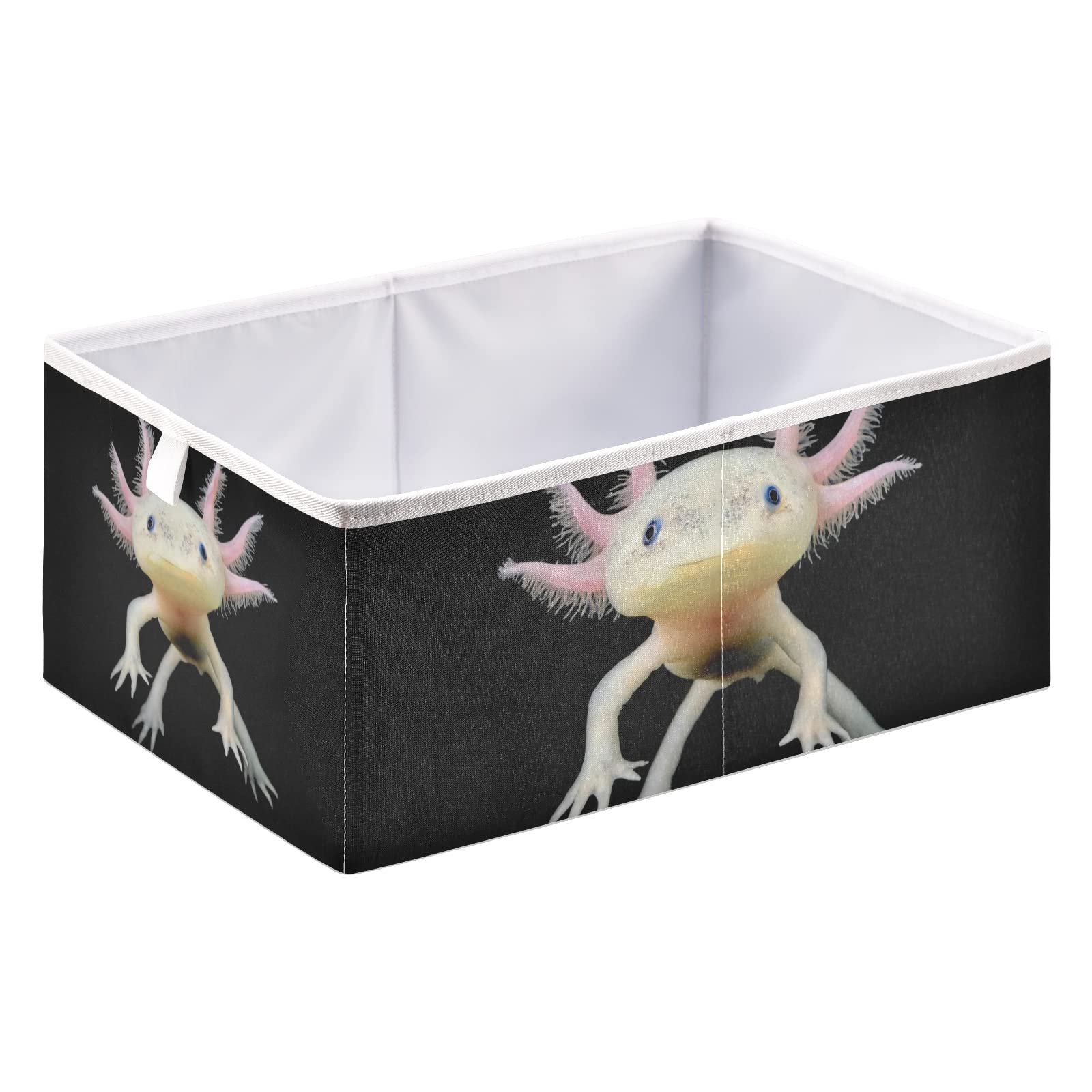 Oyihfvs Real Axolotl Swimming Salamander Front Side with Dark Background Rectangle Foldable Cube Storage Basket Collapsible Fabric with Handles Organizer Clothes for Home Bedroom 15.7 x 10.6 x 7 in