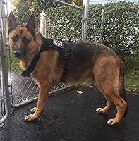 Vista 4 de Modo Bestia en Parche Táctico